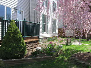 Gardens in the Front Yard