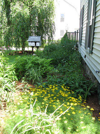 Gardens on Side of House